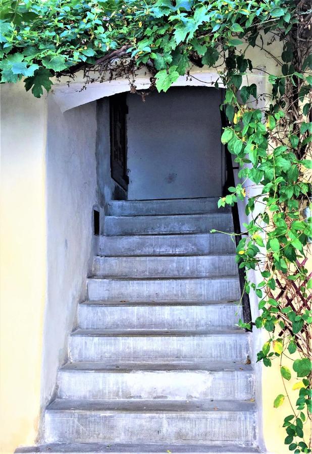 Lost Apartament Brașov
